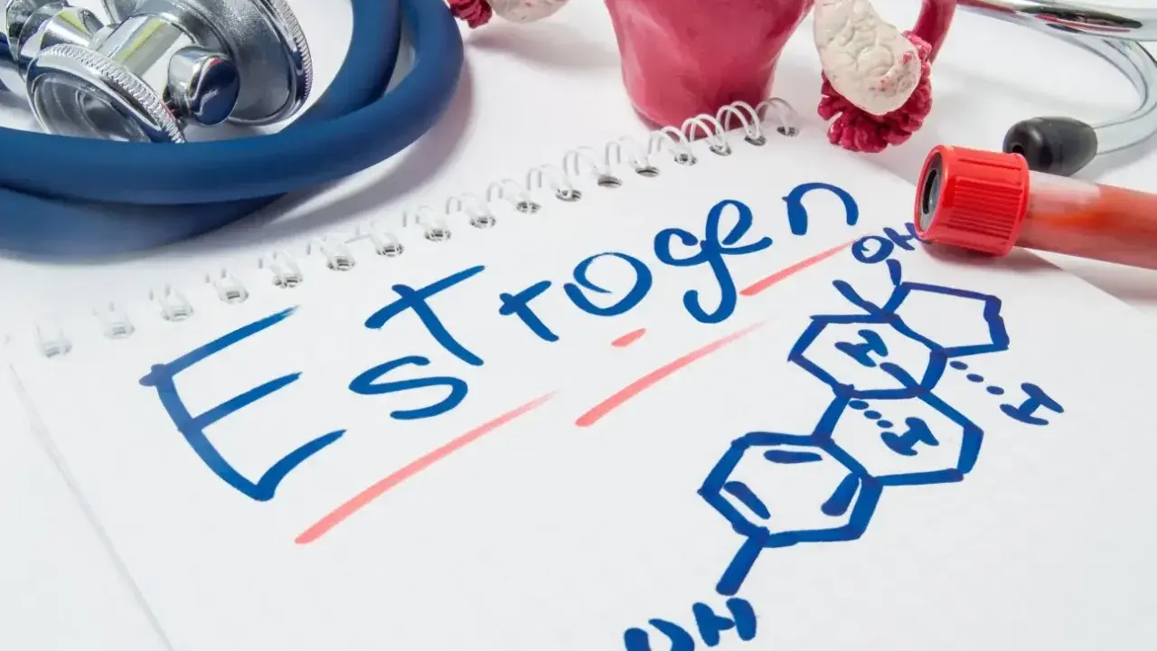 Stetoskop, model narządów rodnych i probówka krwi obok notatnika z napisem "Estrogen" i jego wzorem chemicznym.