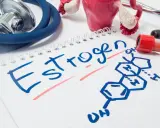 Stetoskop, model narządów rodnych i probówka krwi obok notatnika z napisem "Estrogen" i jego wzorem chemicznym.