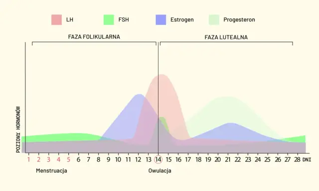 Wykres przedstawia fazy cyklu kobiety: folikularną i lutealną, z poziomami hormonów LH, FSH, estrogenu i progesteronu.