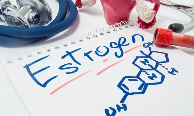 Stetoskop, model narządów rodnych i probówka krwi obok notatnika z napisem "Estrogen" i jego wzorem chemicznym.