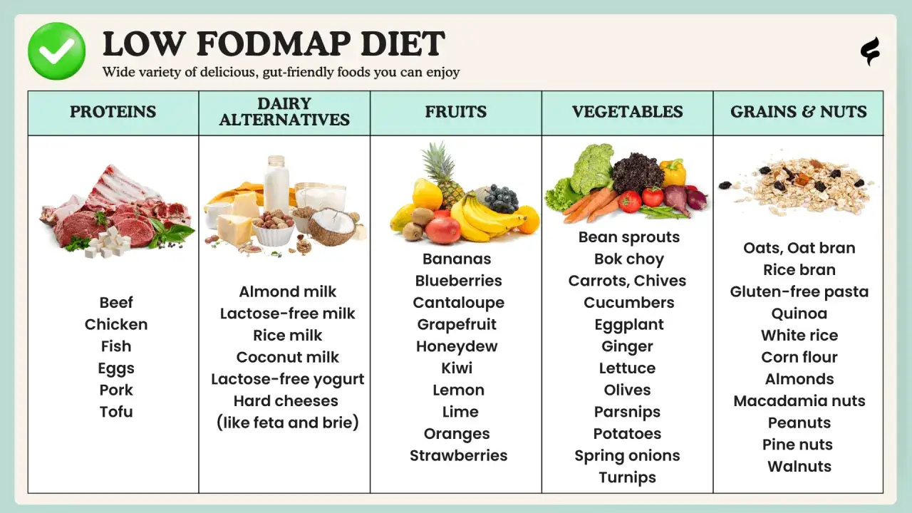 Tabela z produktami dozwolonymi w diecie low fodmap: białka, zamienniki nabiału, owoce, warzywa, zboża i orzechy.